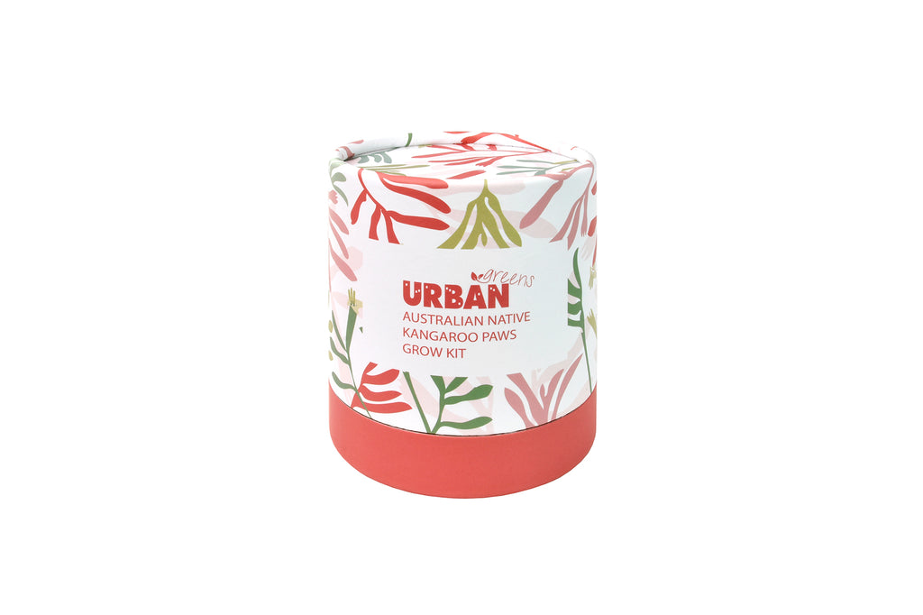 Urban Greens Australian Native Flowers Grow Kit - Kangaroo Paws