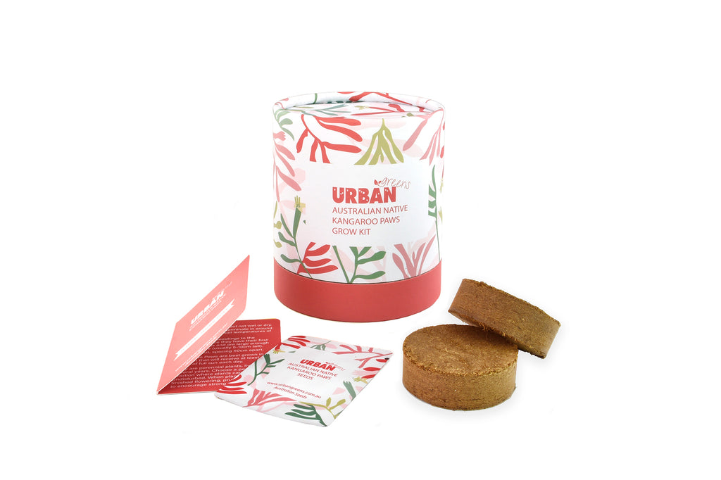 Urban Greens Australian Native Flowers Grow Kit - Kangaroo Paws