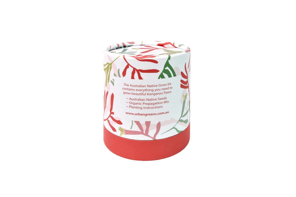 Urban Greens Australian Native Flowers Grow Kit - Kangaroo Paws