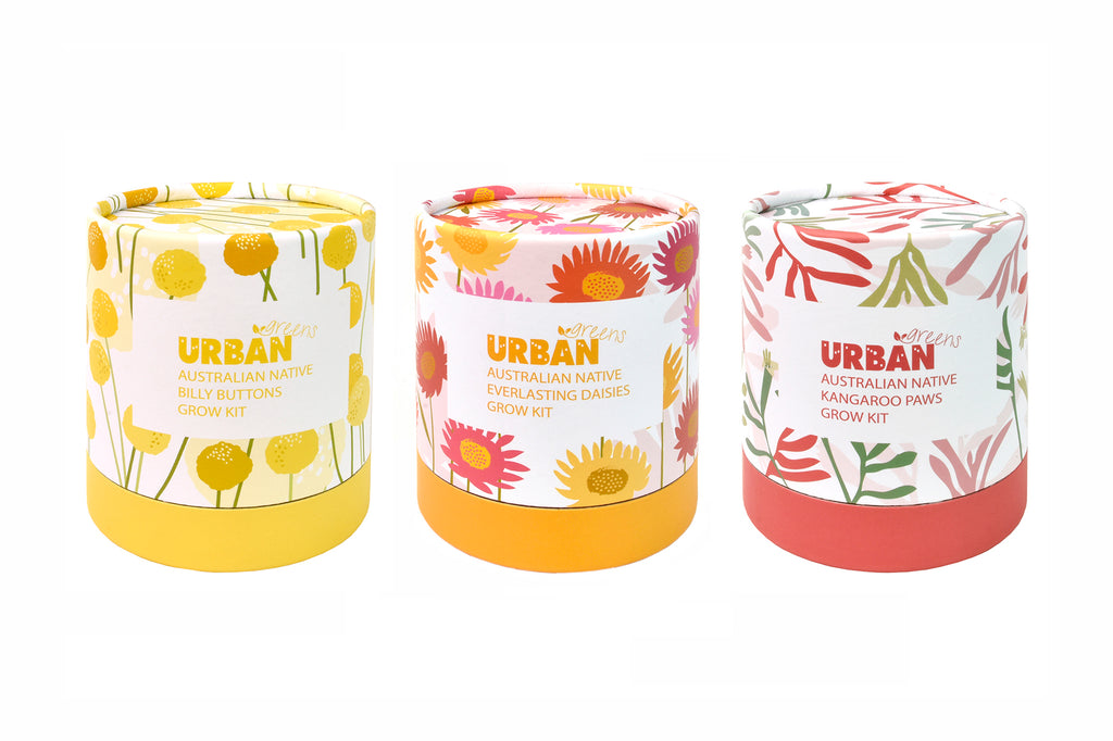 Urban Greens Australian Native Flowers Grow Kit - Kangaroo Paws
