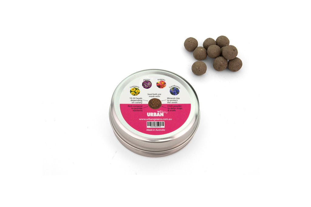 Urban Greens Seed Balls  - Cottage Garden Flowers