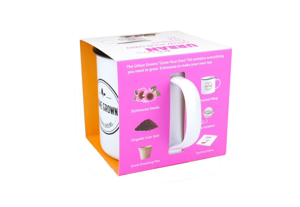 Urban Greens Grow Your Own Tea Kit - Echinacea
