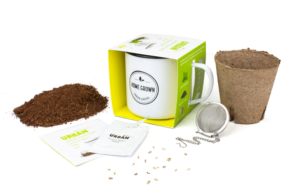 Urban Greens Lemon Balm Grow Your Own Tea Kit