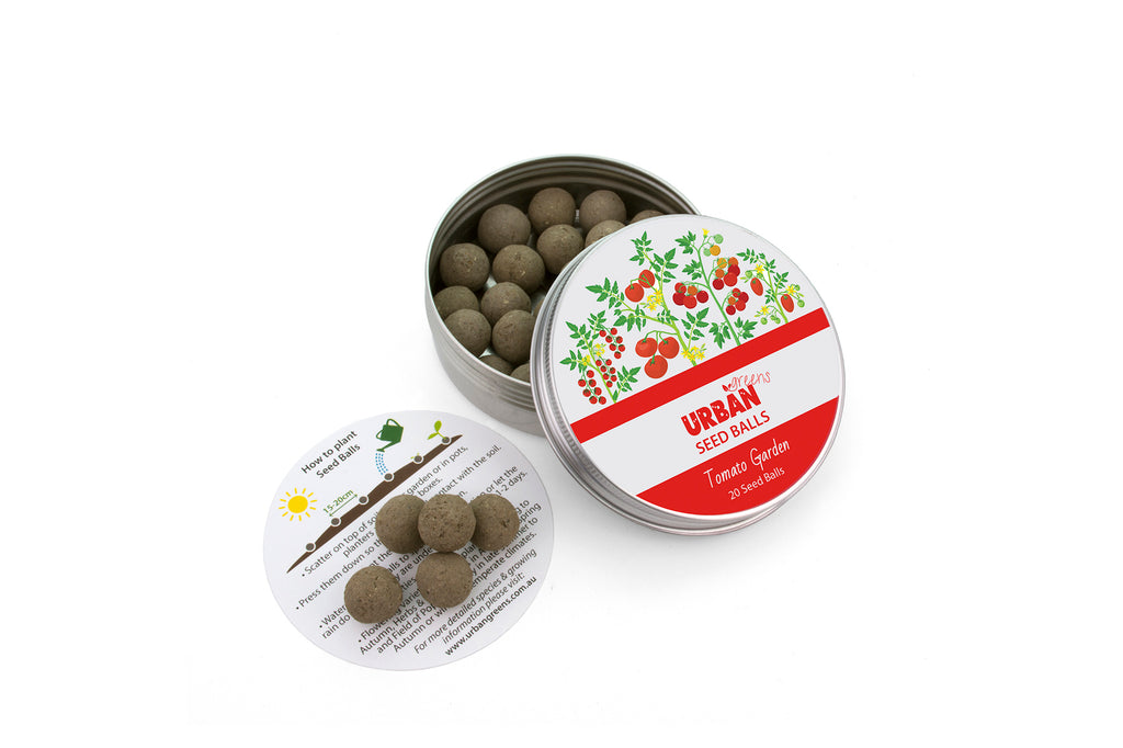 Urban Greens Seed Balls - Tomato Garden