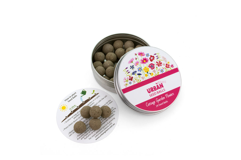 UrbanGreens_Seedballs_CottageFlower
