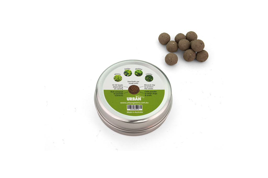 Urban Greens Seed Balls  - Leafy Greens