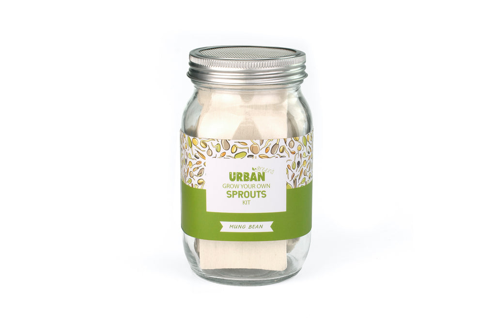 SPROUT JAR KIT - MUNG BEANS
