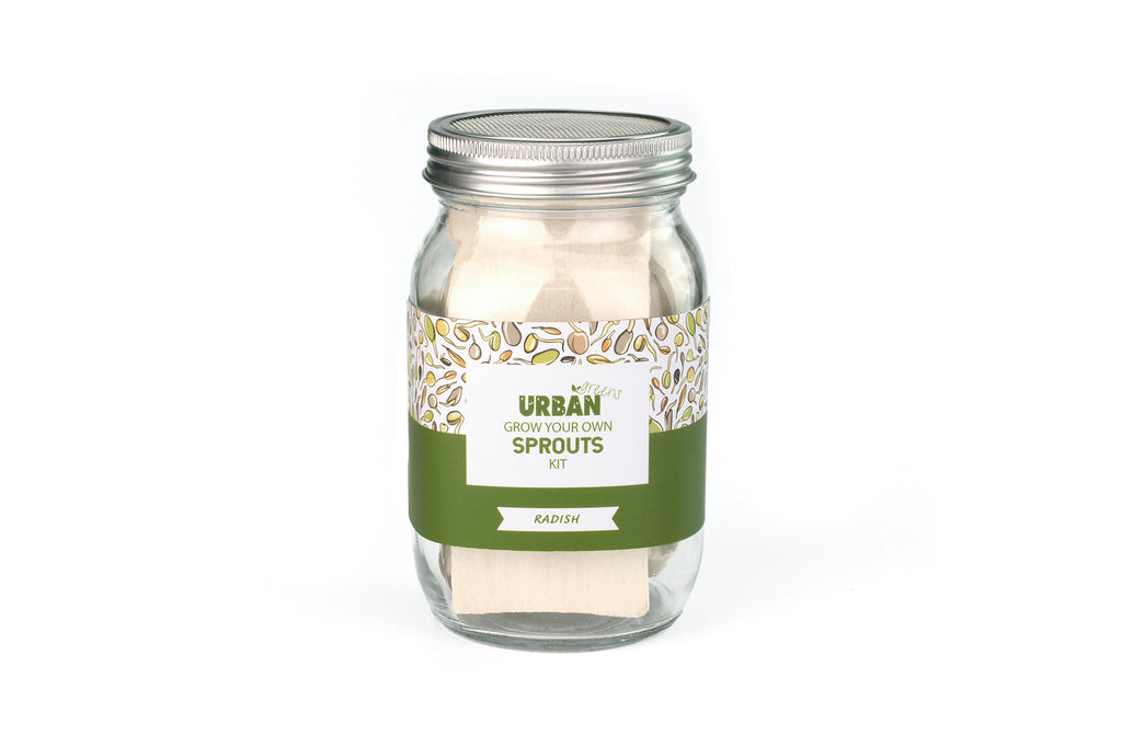 SPROUT JAR KIT - RADISH