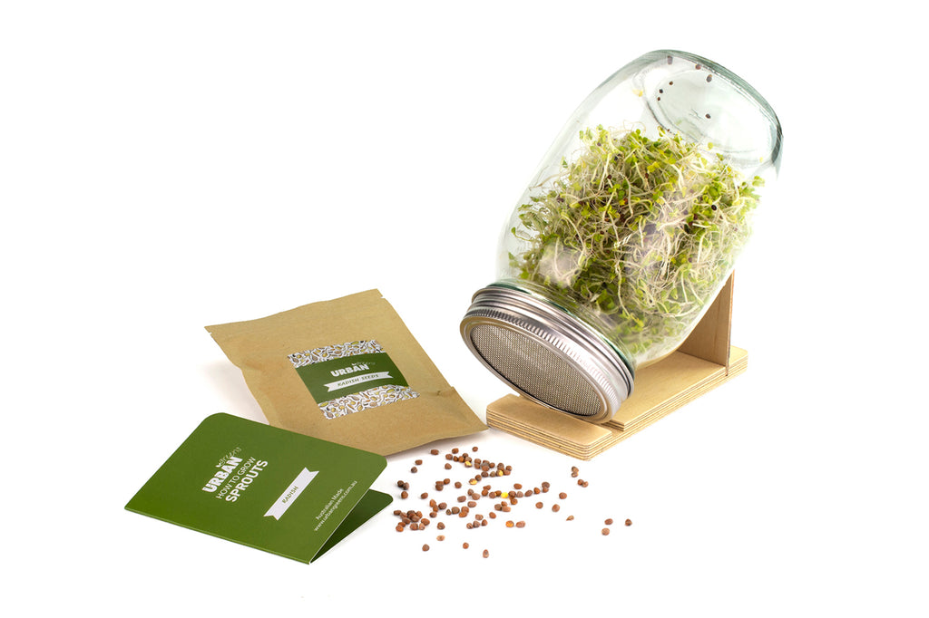 SPROUT JAR KIT - RADISH