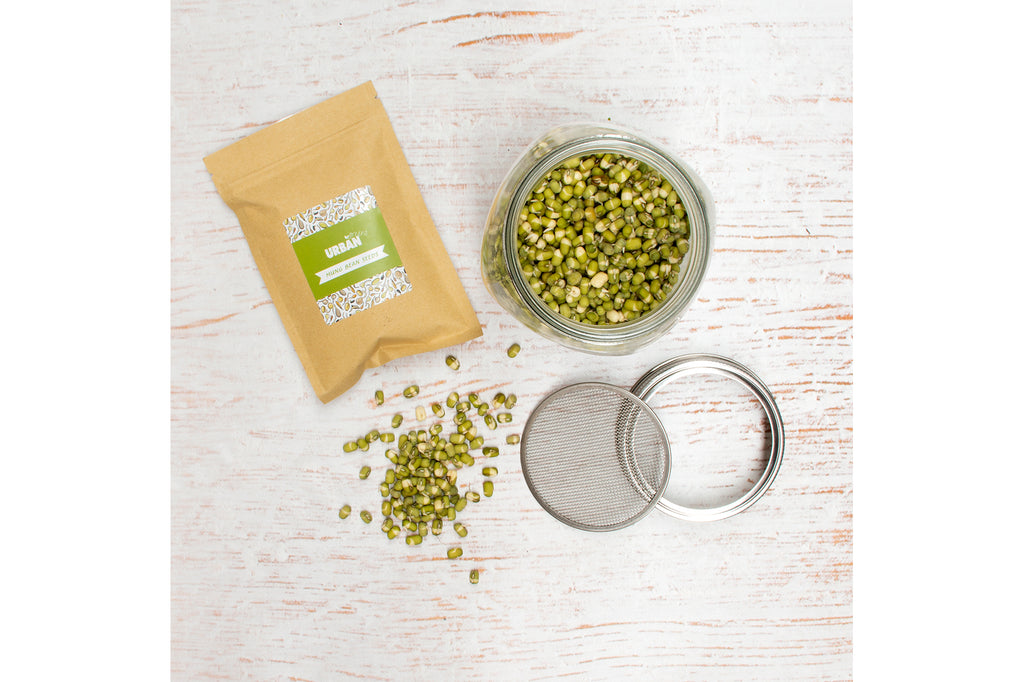 SPROUT JAR KIT - MUNG BEANS