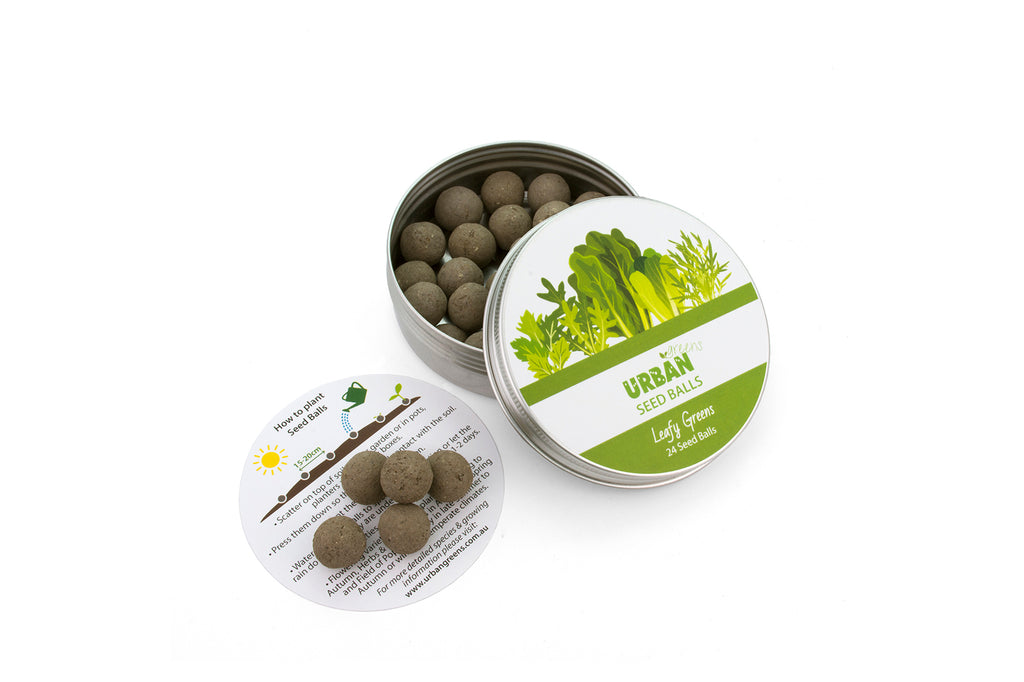 Urban Greens Seed Balls  - Leafy Greens