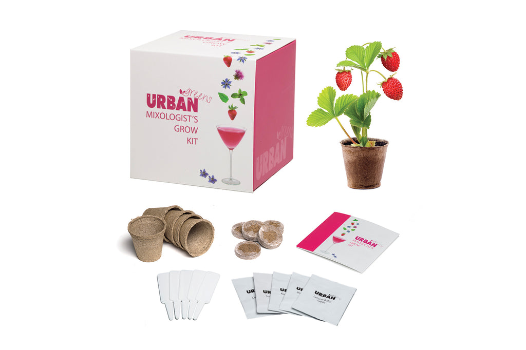 Urban Greens Grow Your own garnish garden kit