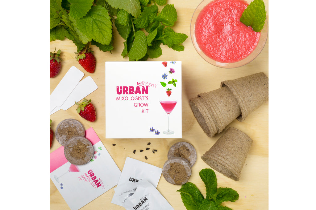 Mixologist's Grow Your Own Garnish Garden Kit