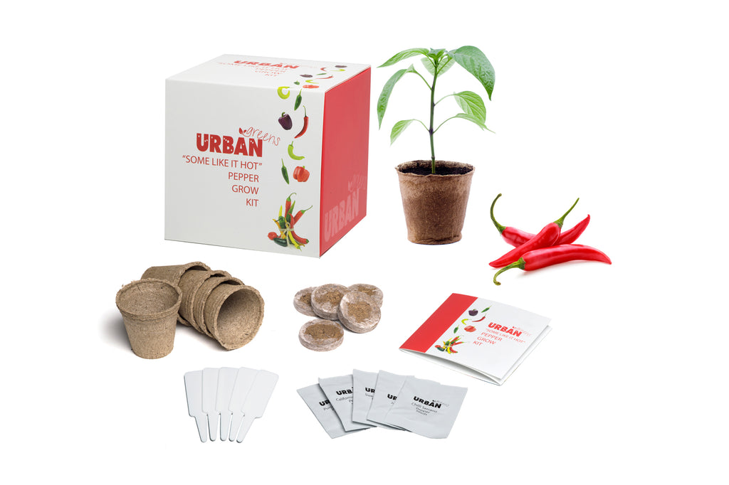 Urban Greens Grow Your Own Pepper Garden Kit
