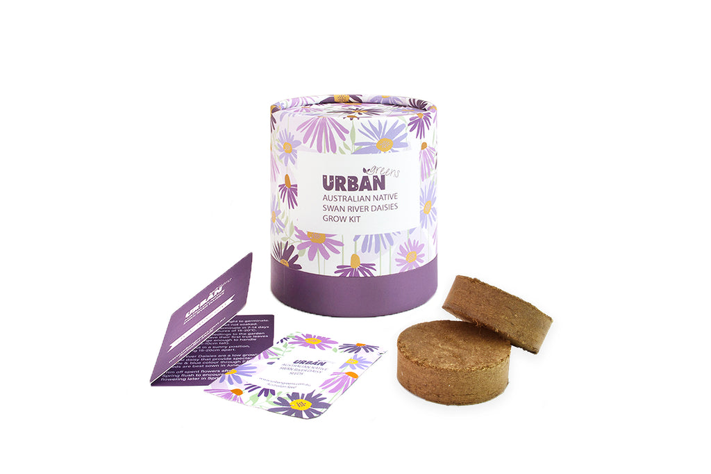 Urban Greens Australian Native Flowers Grow Kits