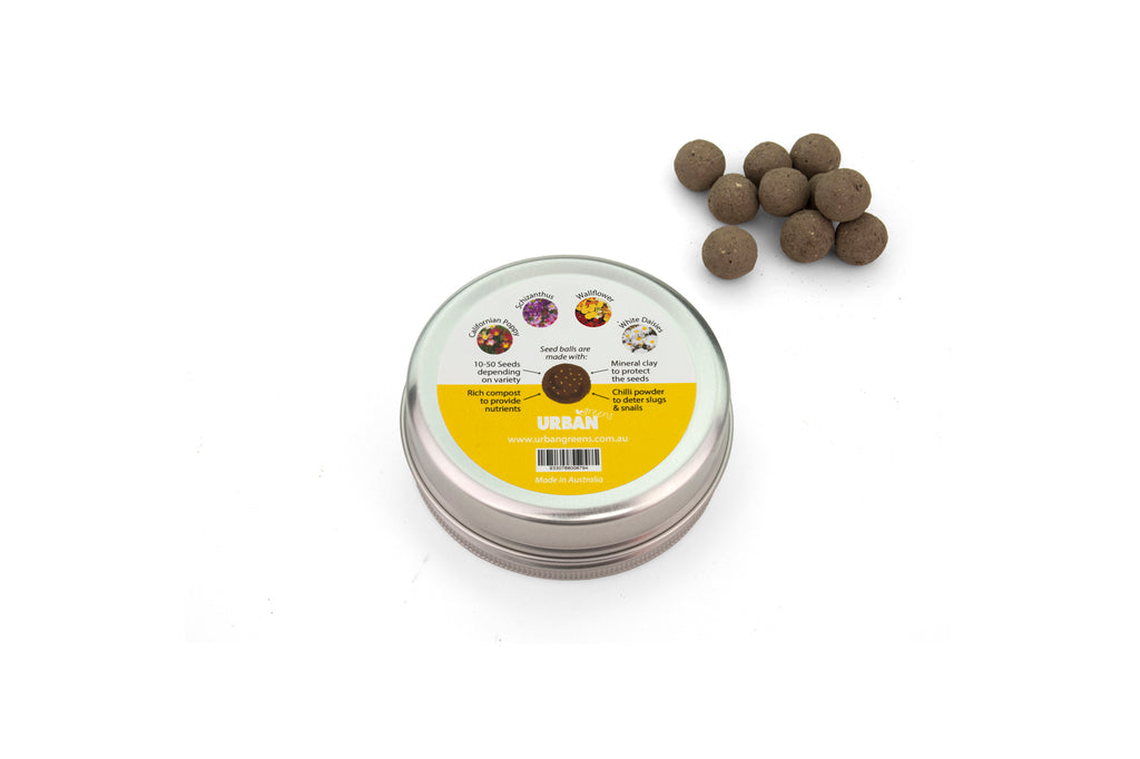 Urban Greens Seed Balls  - Bee Friendly Flowers