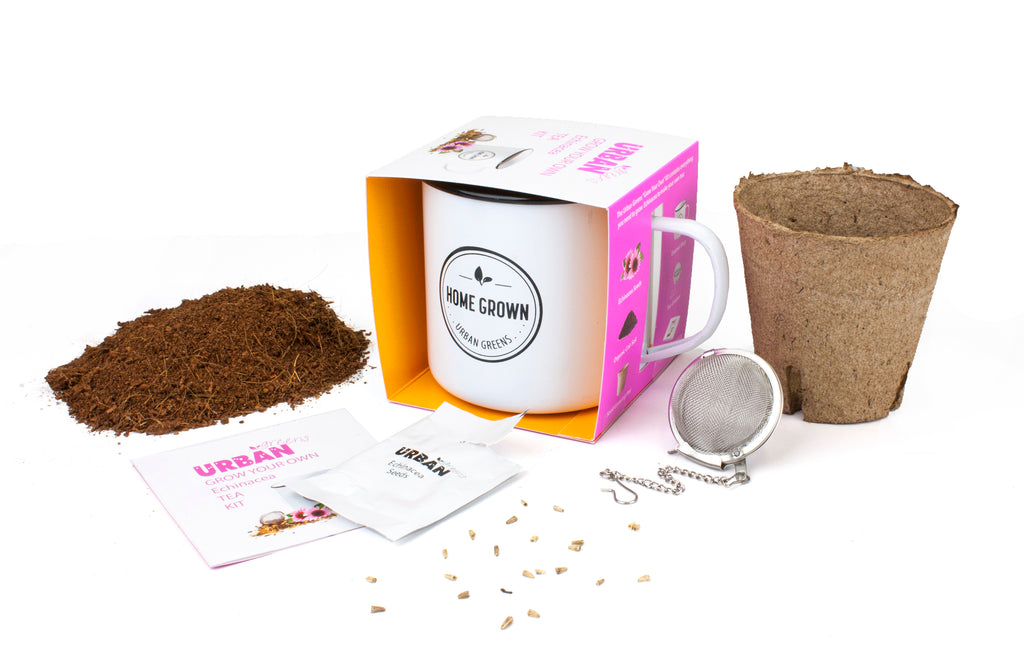 Urban Greens Grow Your Own Tea Kit - Echinacea