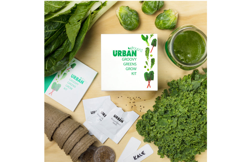 Urban Greens Grow Your Own Green Vegetable Garden Kit