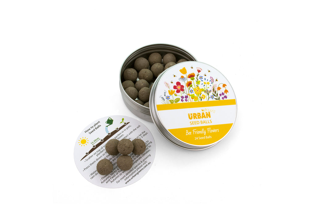 UrbanGreens_SeedBalls_BeeFriendly