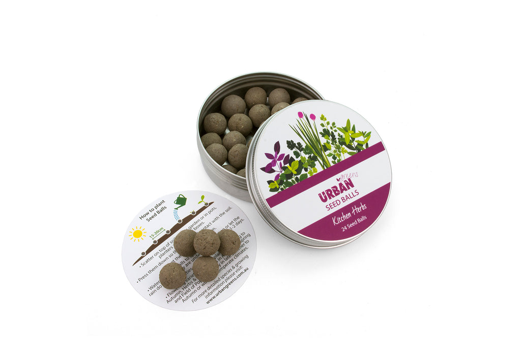 Urban Greens Seed Balls  - Kitchen Herbs