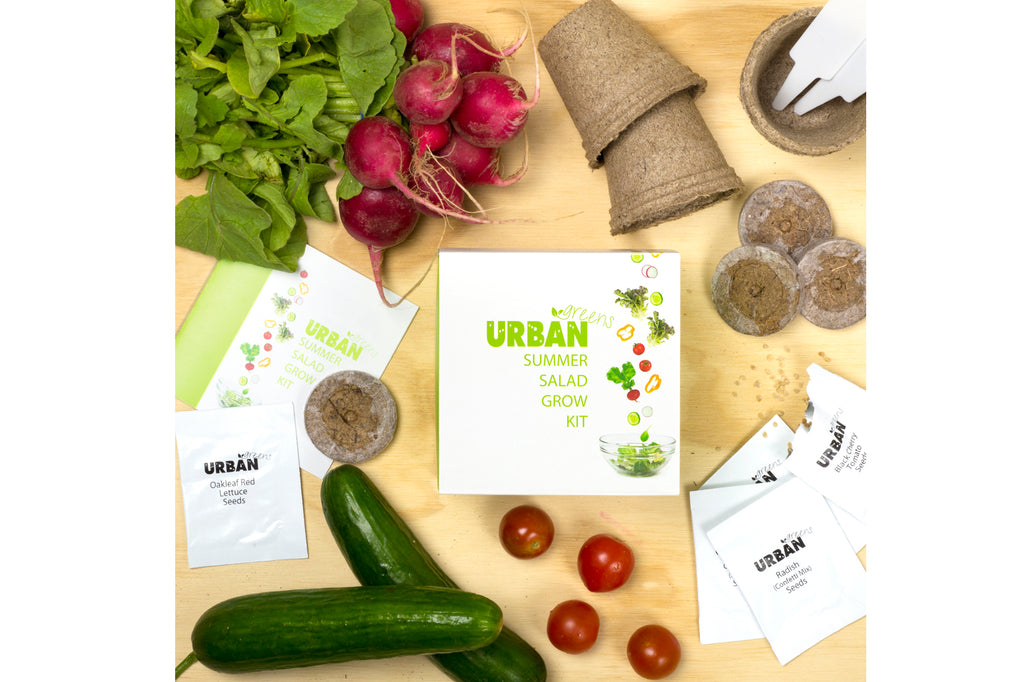 Urban Greens Grow Your Own Summer Salad Garden Kit